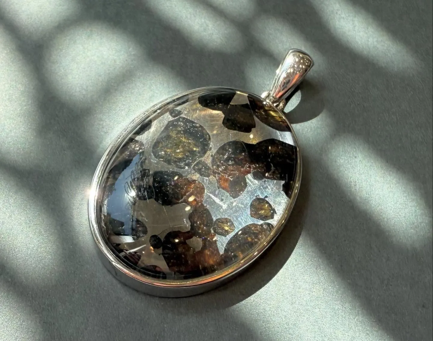 パラサイト隕石