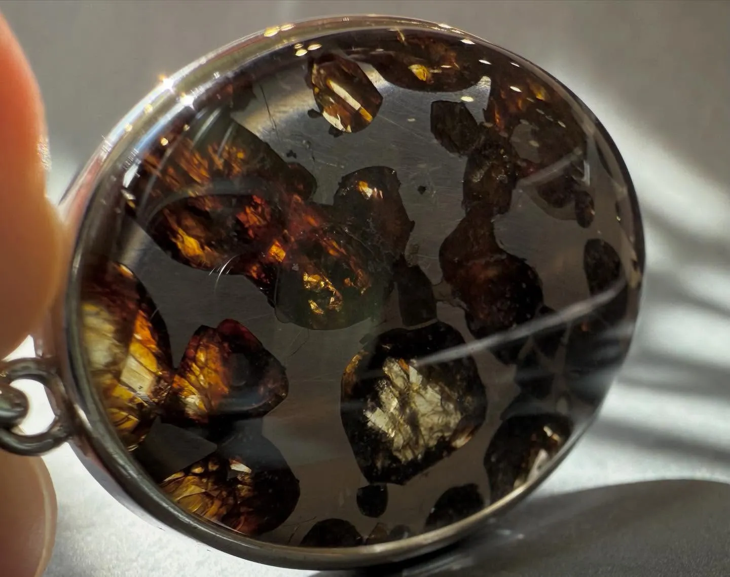 パラサイト隕石