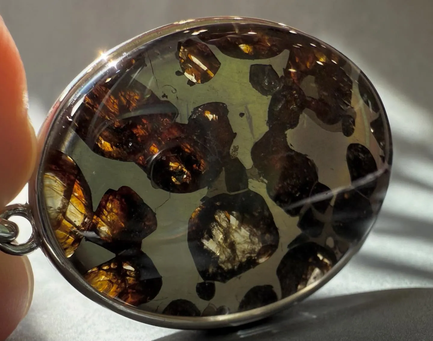 パラサイト隕石