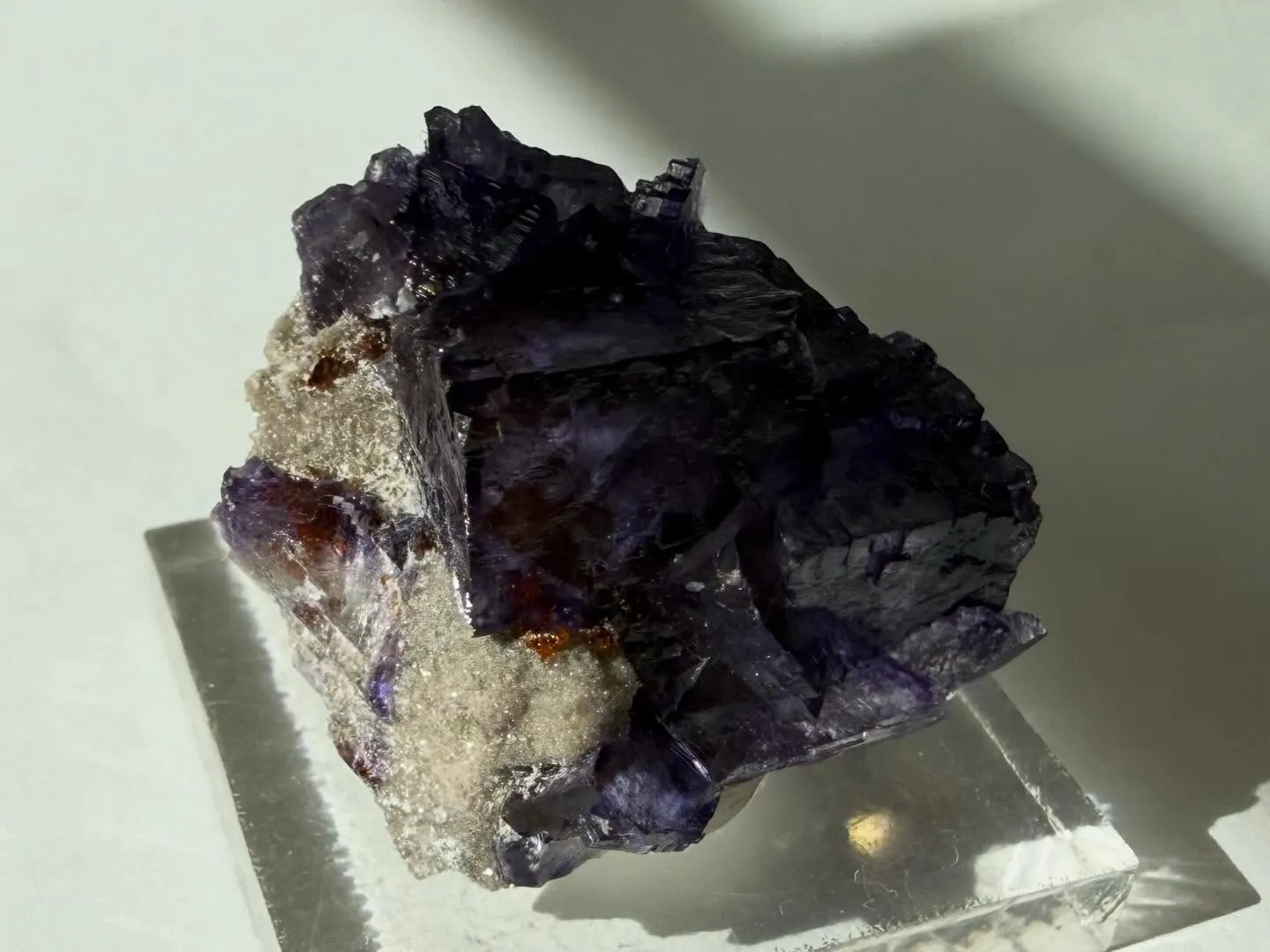 エルムウッドフローライト