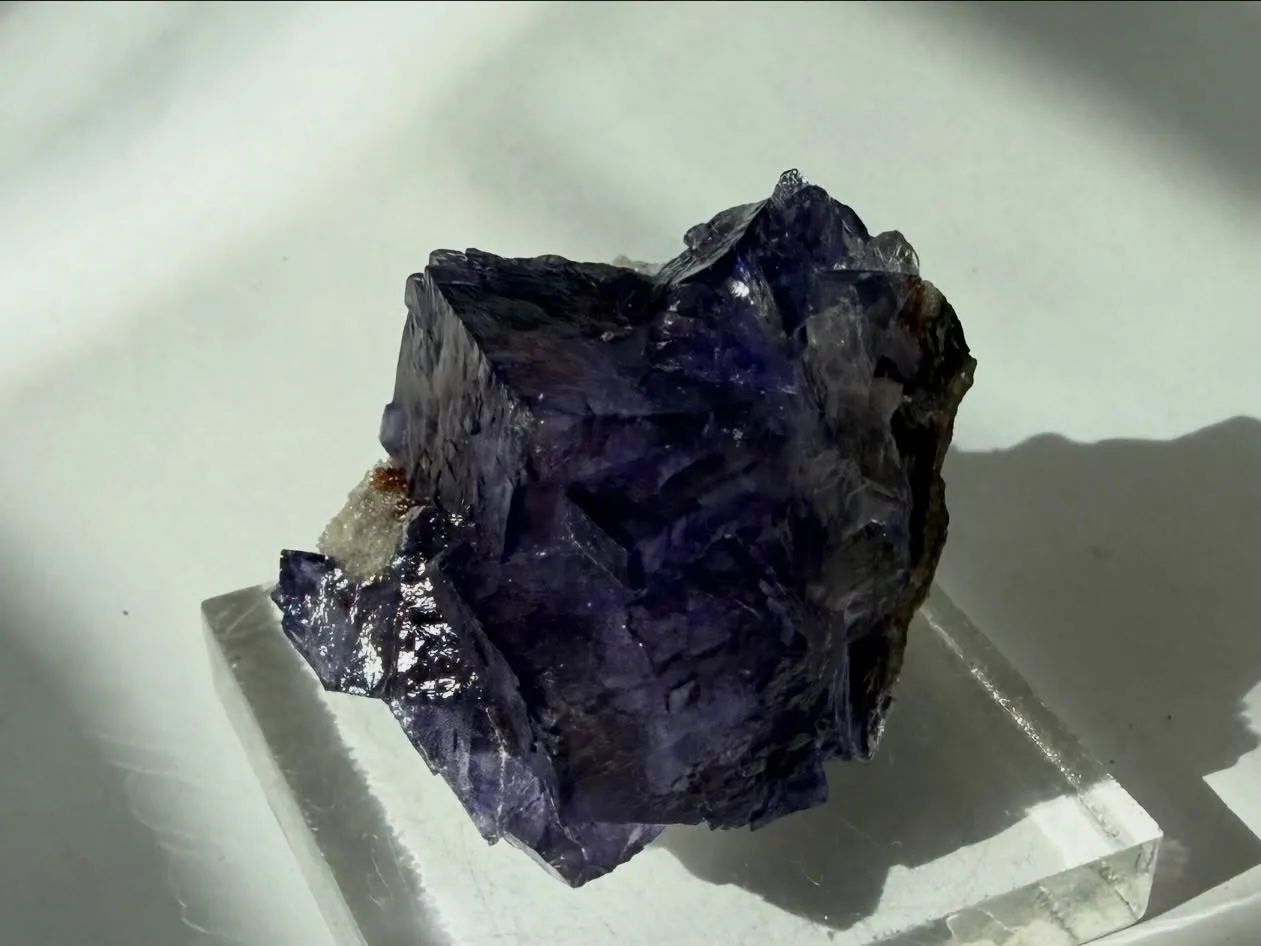 エルムウッドフローライト