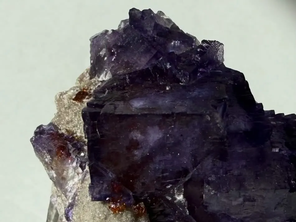 エルムウッドフローライト