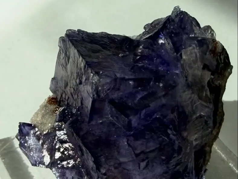 エルムウッドフローライト