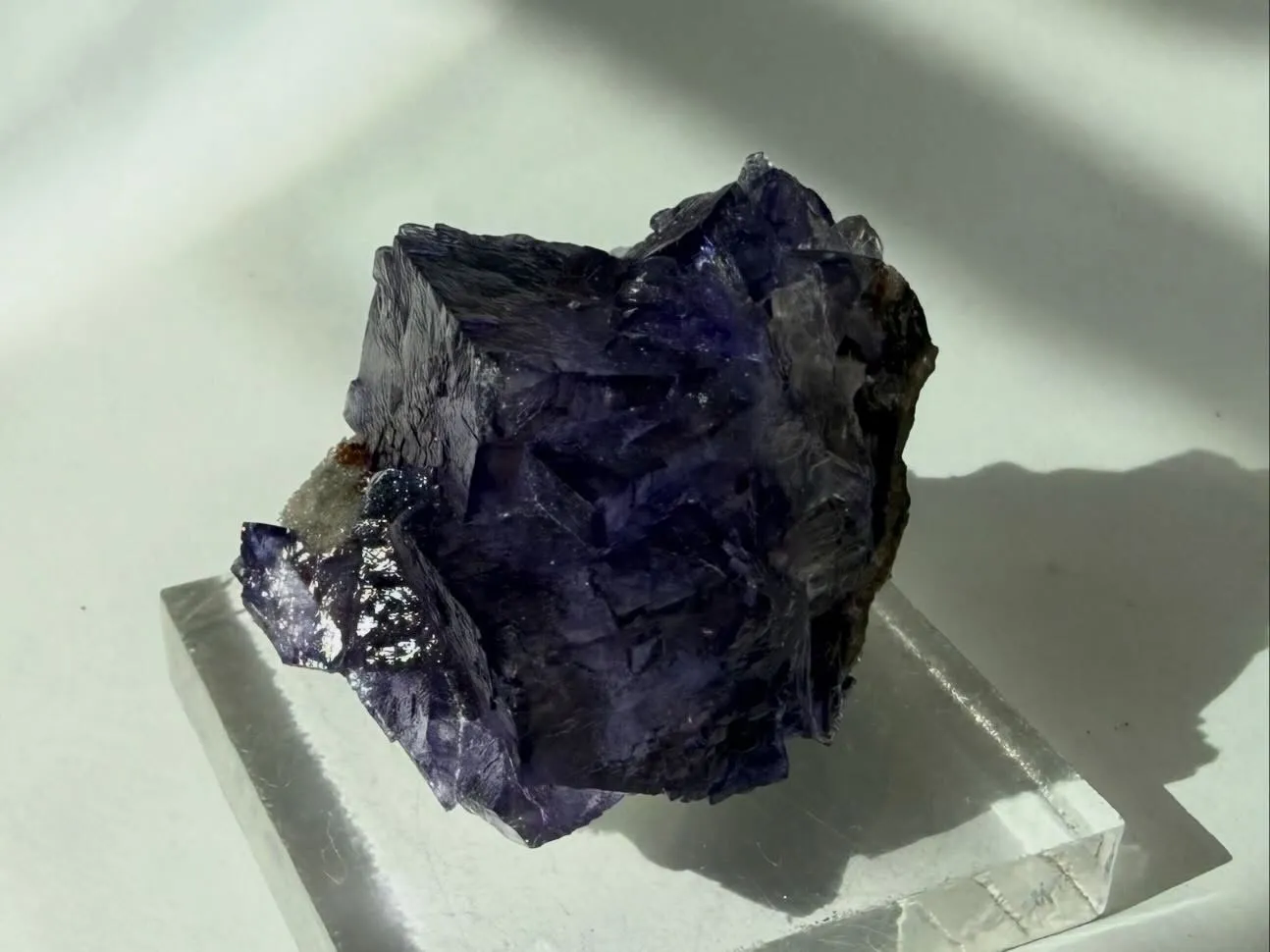 エルムウッドフローライト