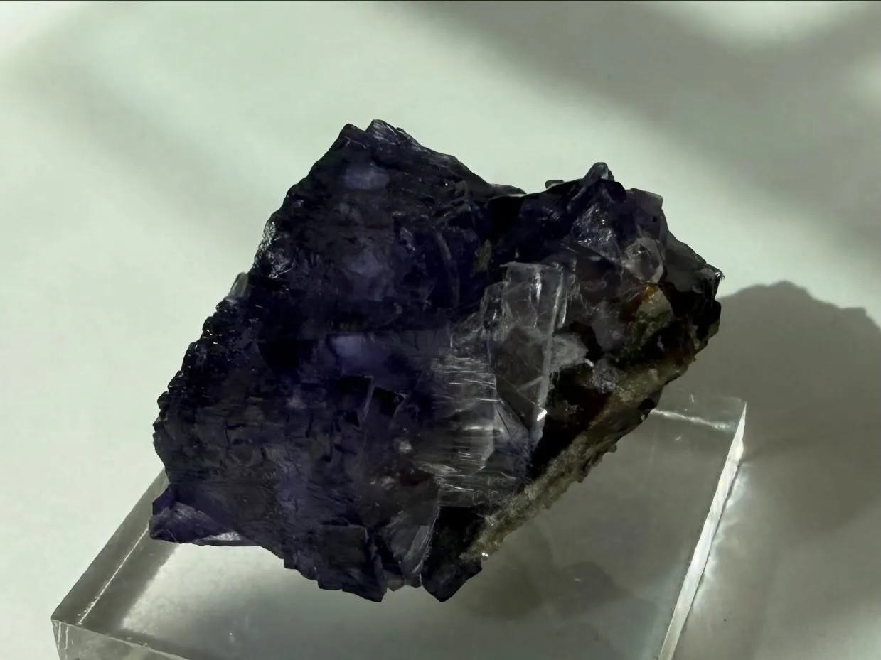 エルムウッドフローライト