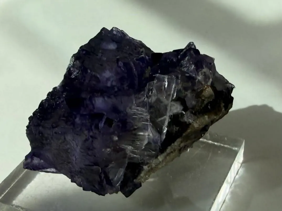 エルムウッドフローライト