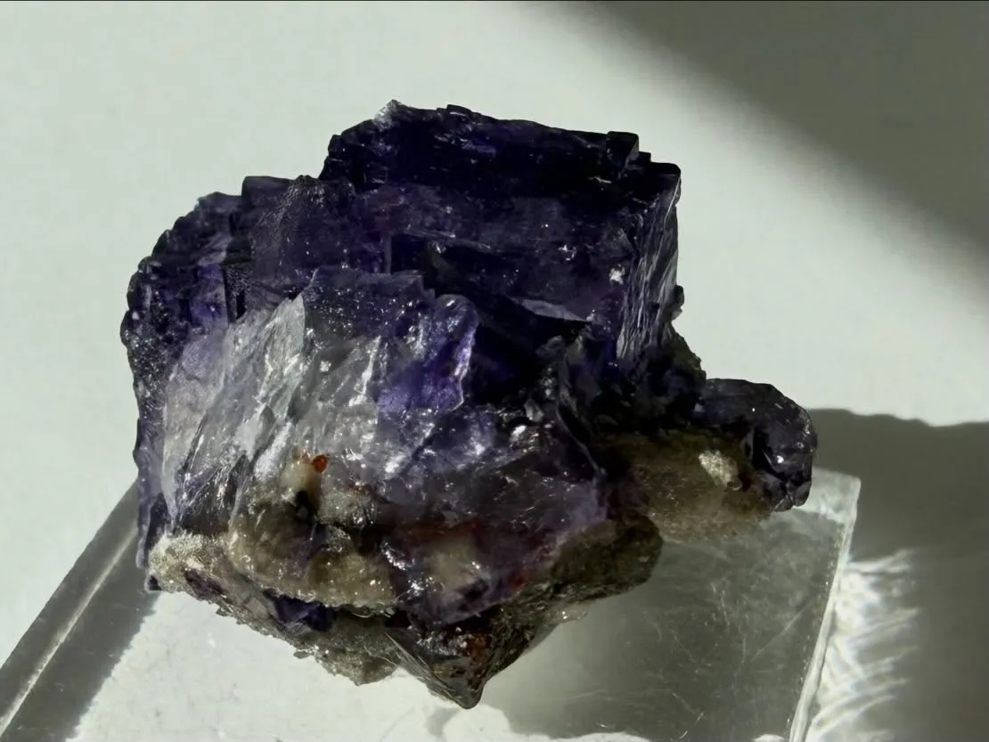 エルムウッドフローライト