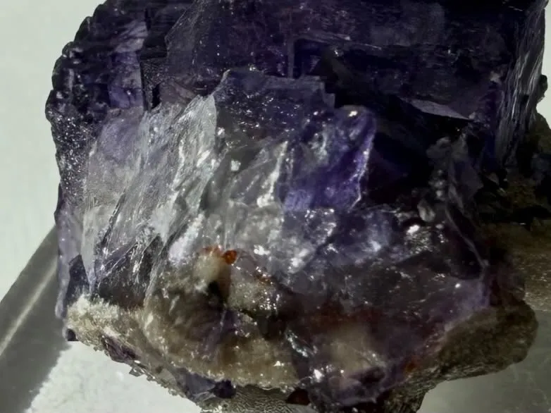 エルムウッドフローライト