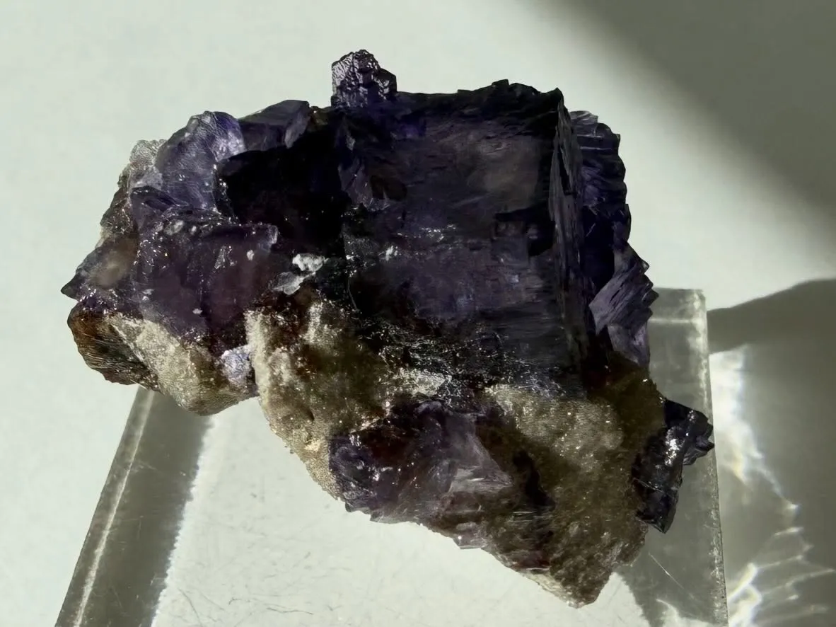 エルムウッドフローライト