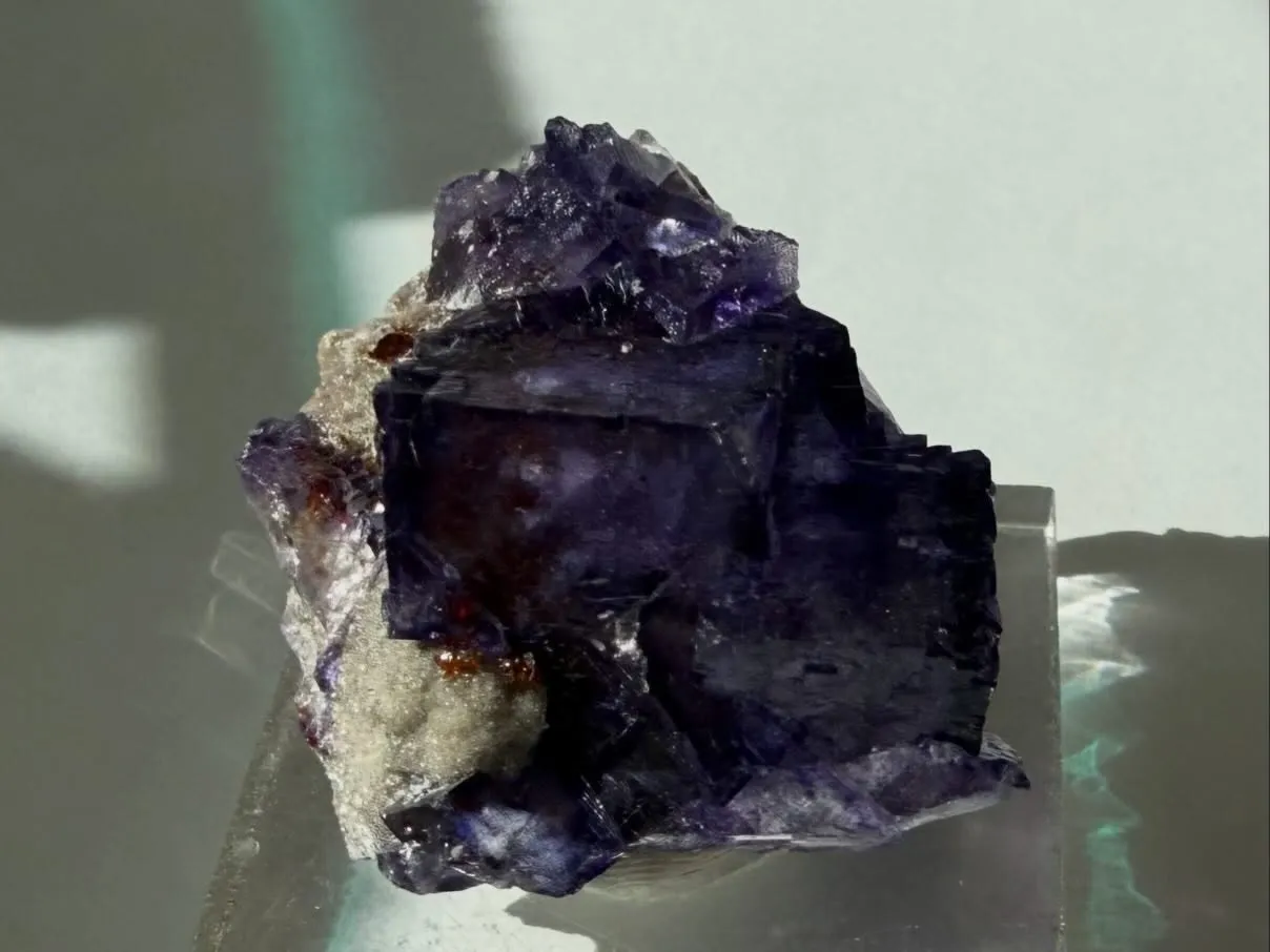 エルムウッドフローライト