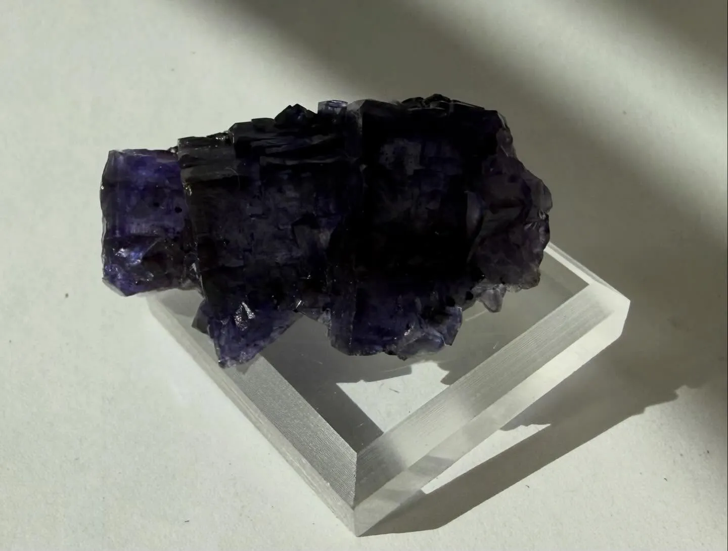 エルムウッドフローライト