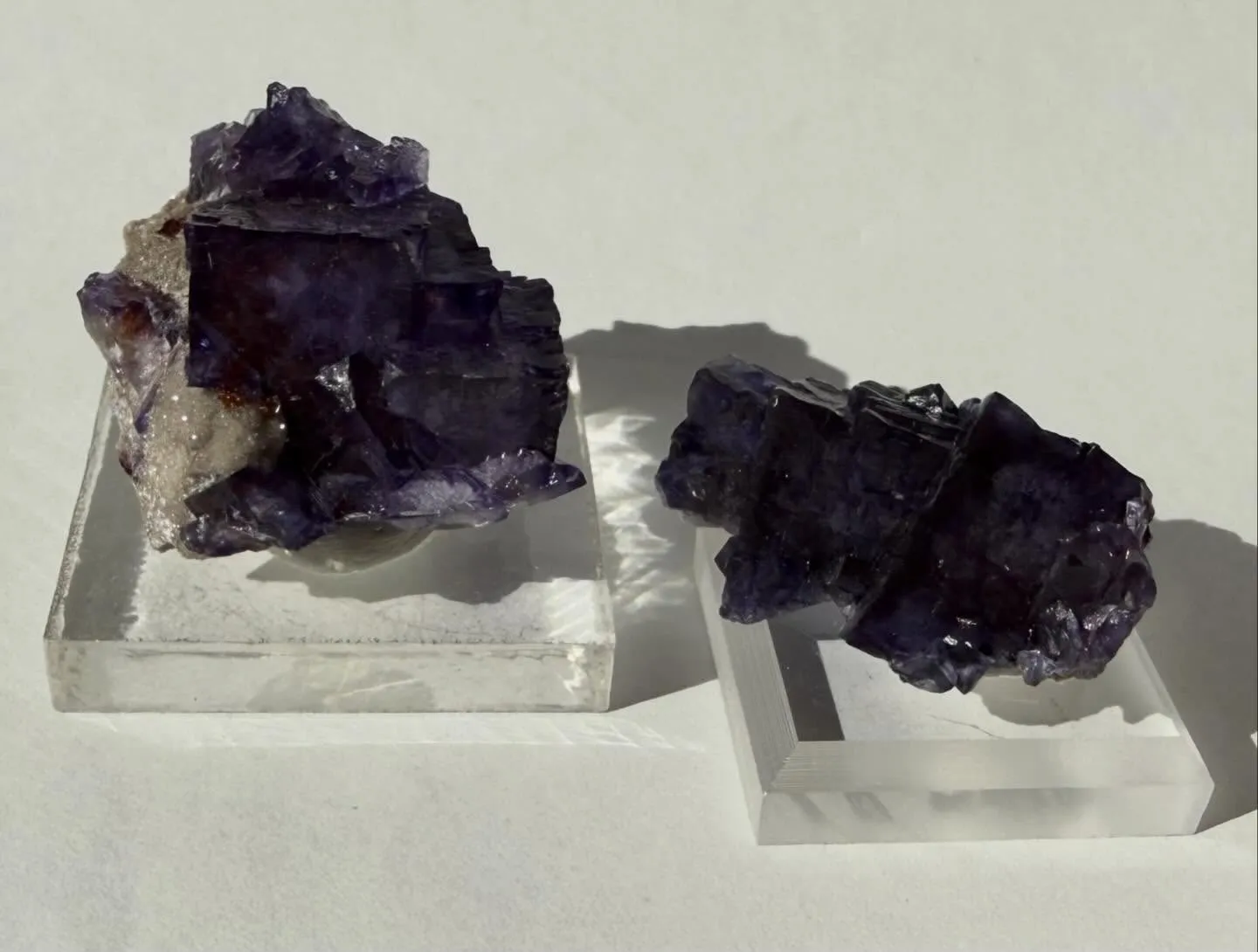 エルムウッドフローライト