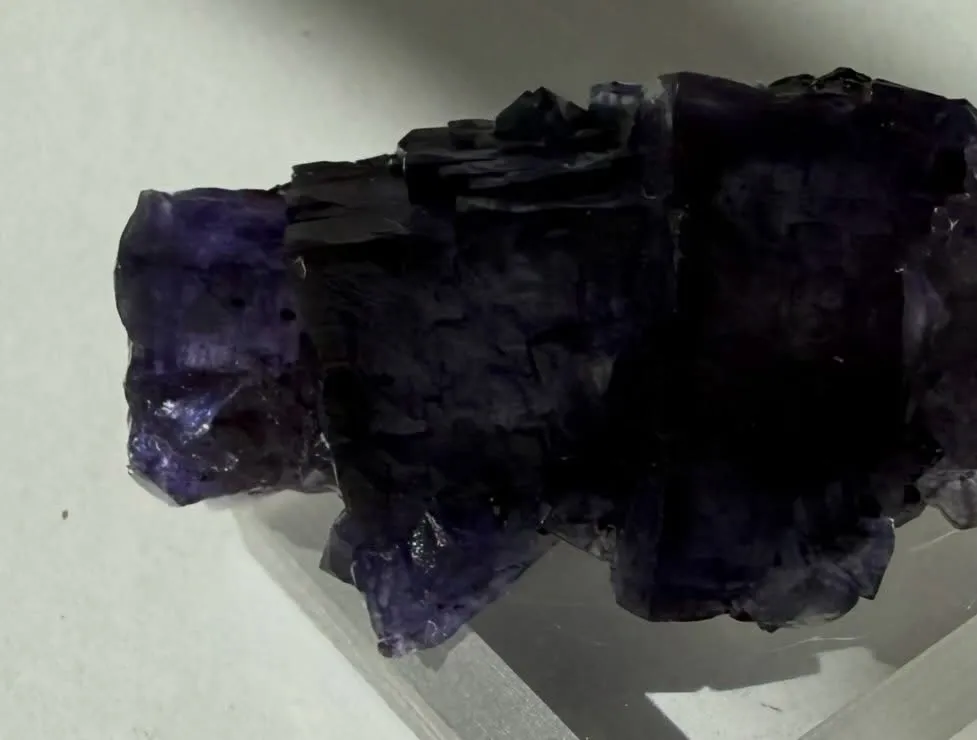 エルムウッドフローライト