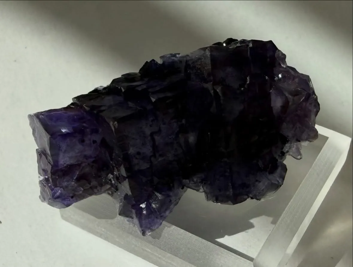 エルムウッドフローライト