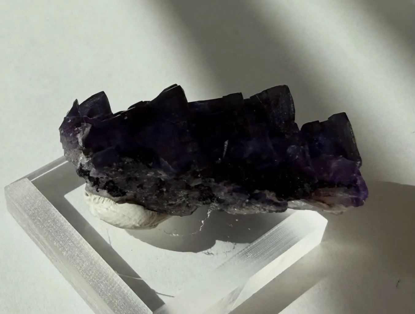 エルムウッドフローライト