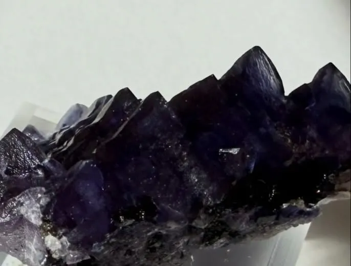 エルムウッドフローライト