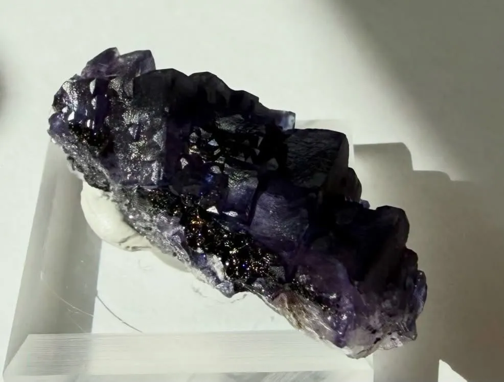 エルムウッドフローライト