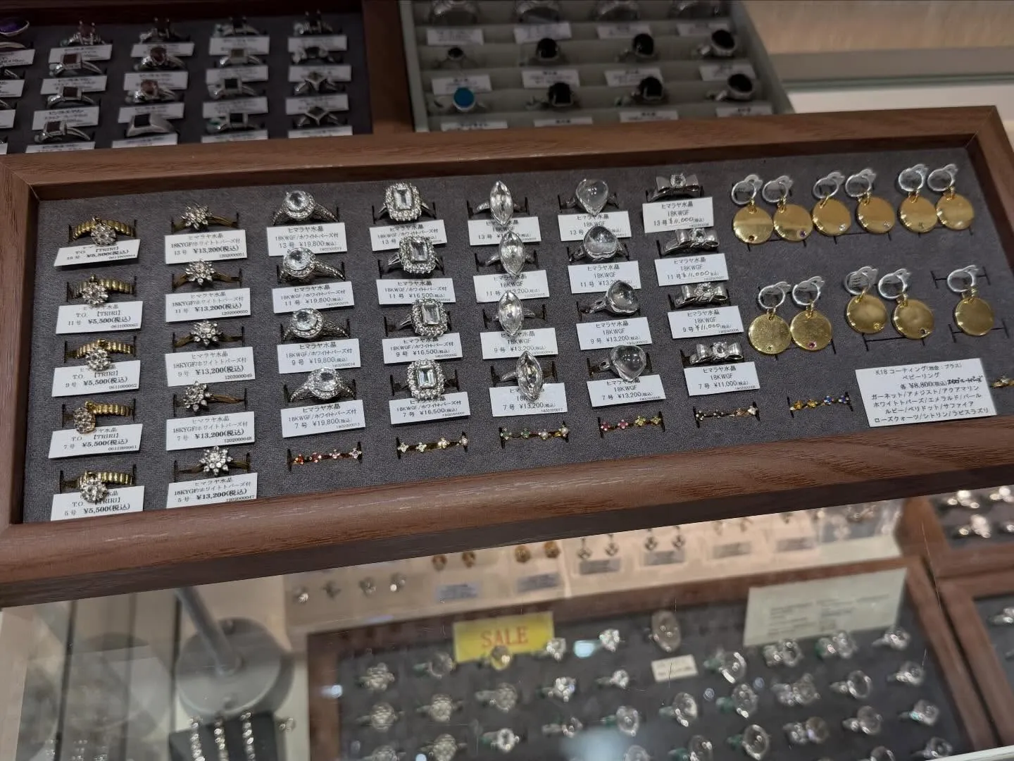 本日2/16から3/1まで✨