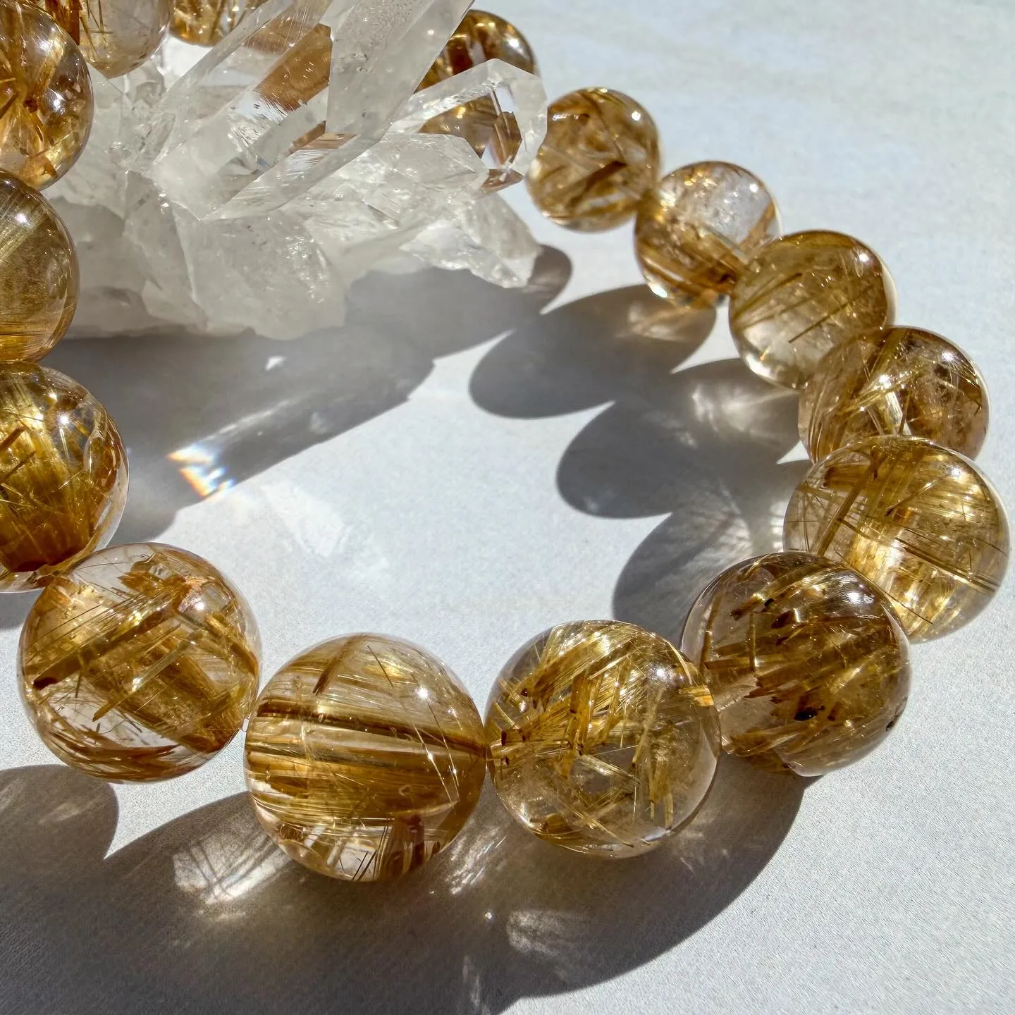 ゴールデンタイチンルチル