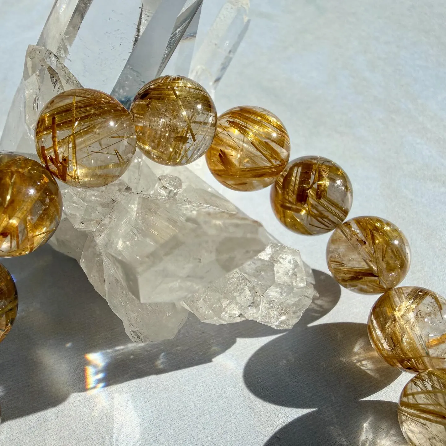 ゴールデンタイチンルチル