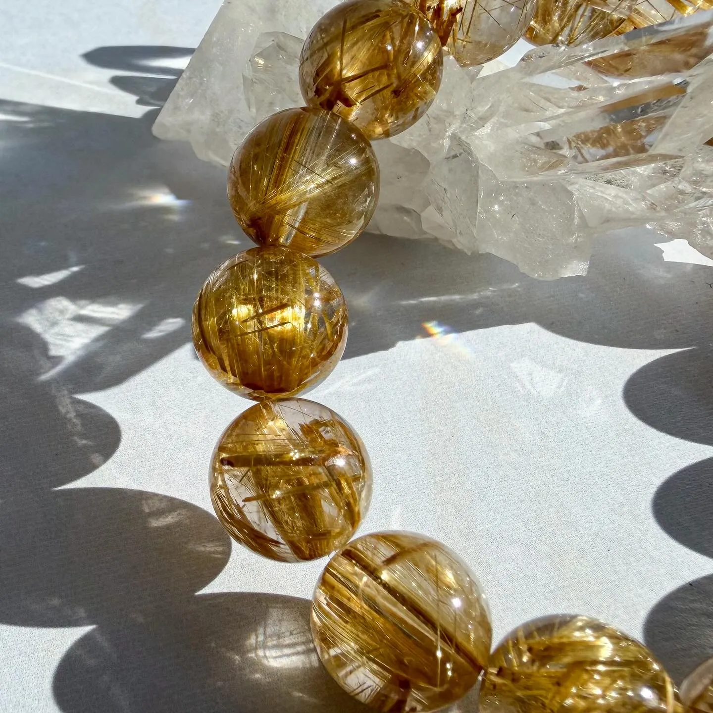 ゴールデンタイチンルチル