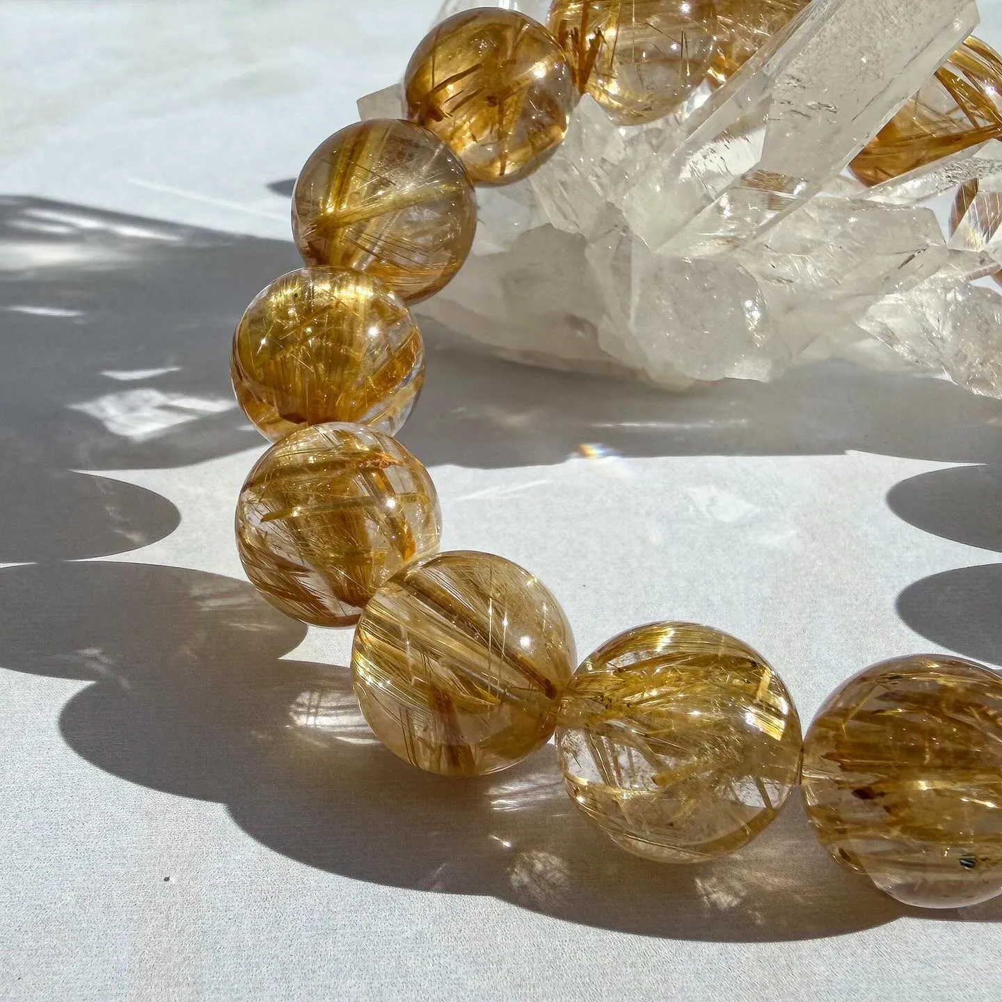 ゴールデンタイチンルチル