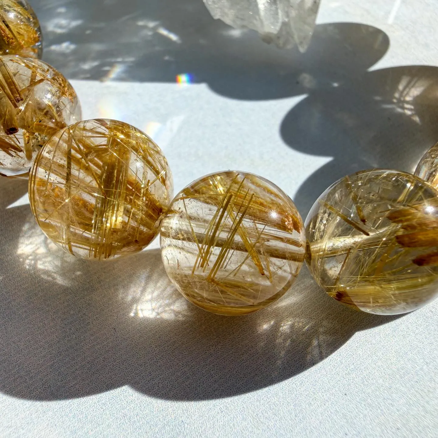 ゴールデンタイチンルチル