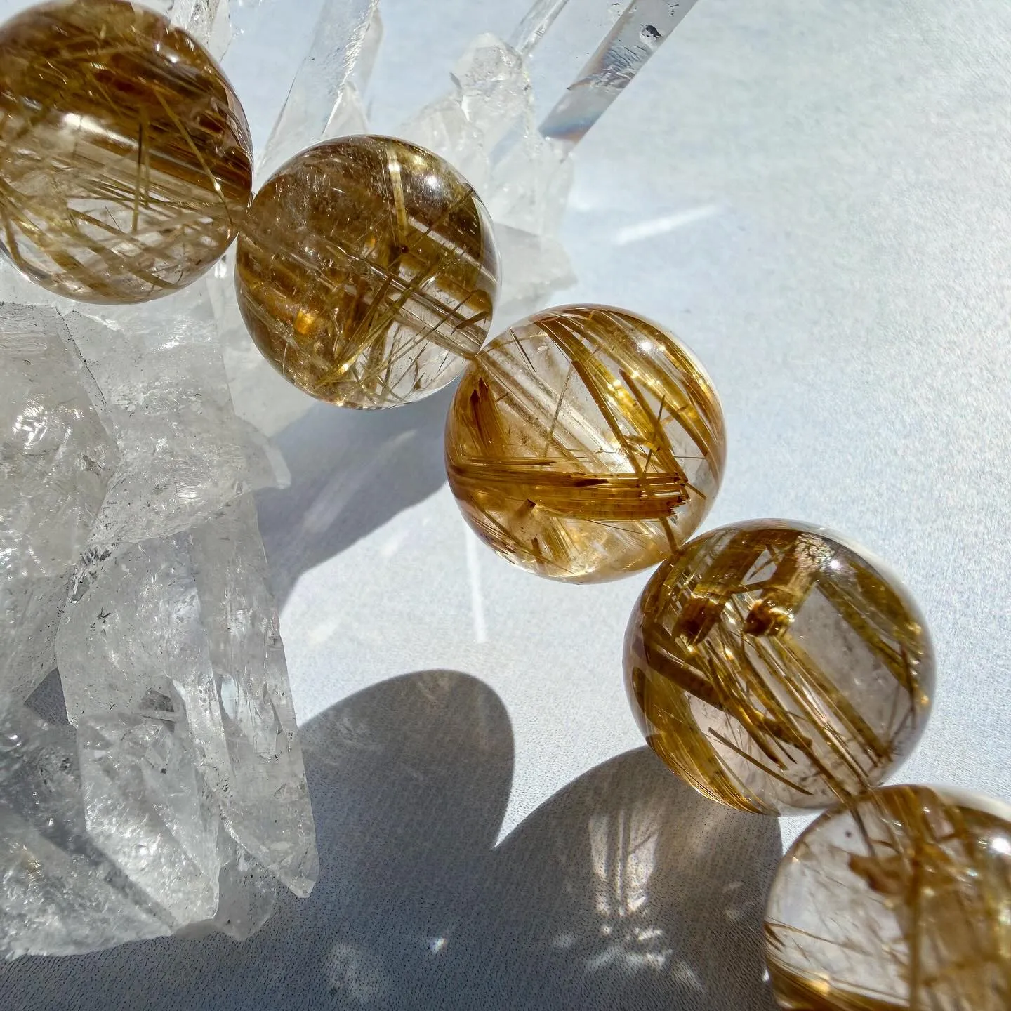 ゴールデンタイチンルチル