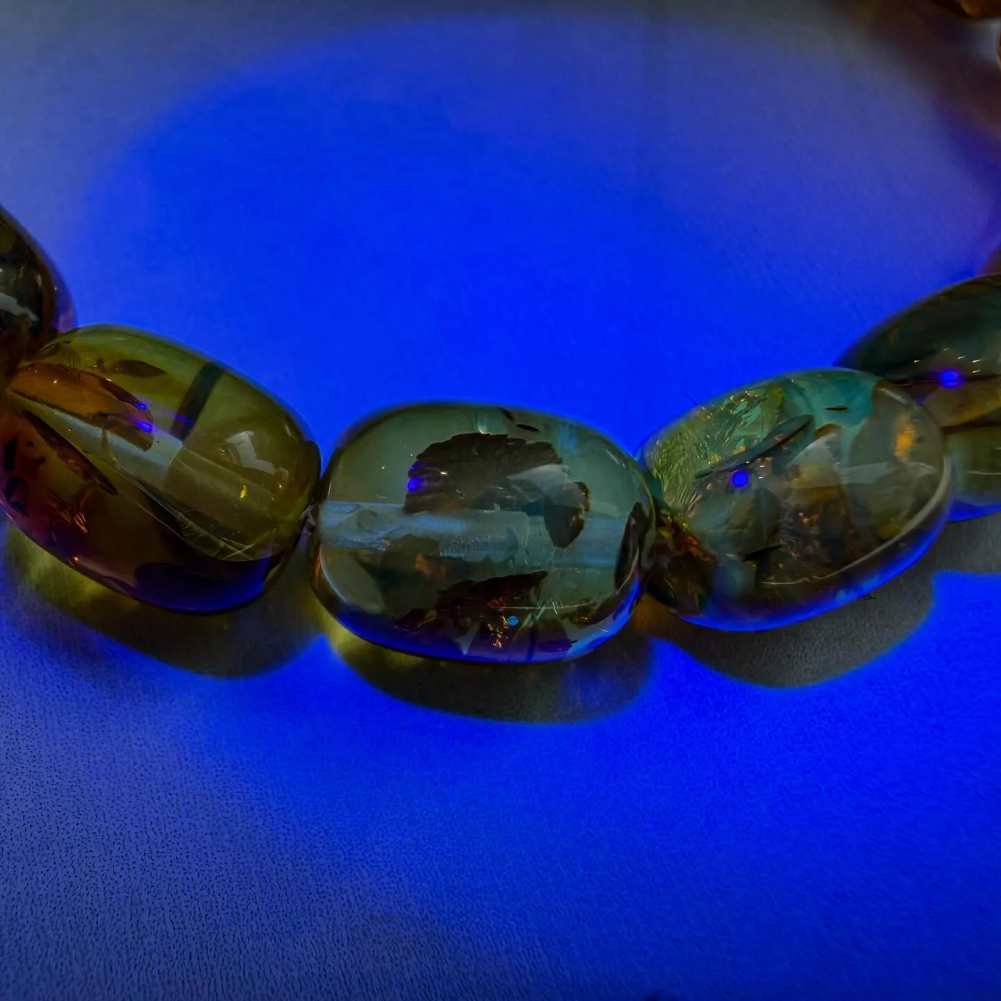 ナッツアンバー